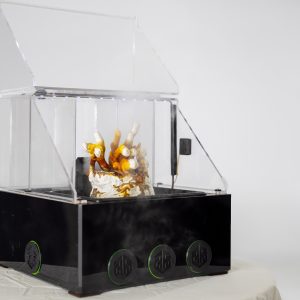 Deep Roots VIP Friends & Family Package