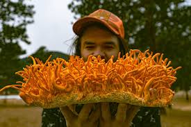 2-hour Mushroom Cultivation Class with Sam Wagner and FOREST FLOOR Model 101