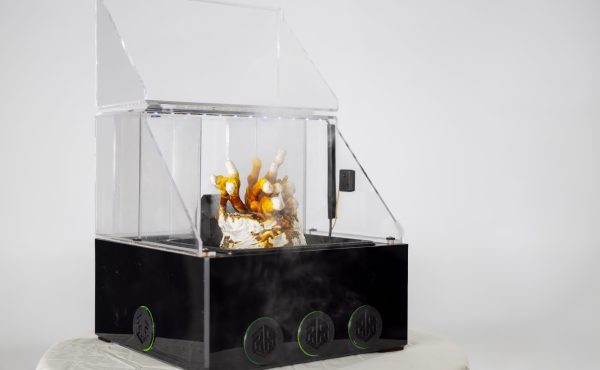 Mushroom growing system with lid open